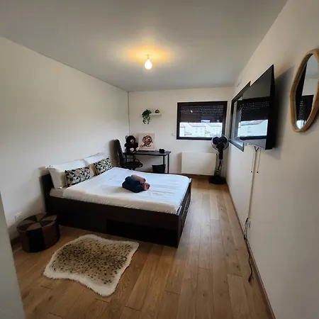 Maison 5 *